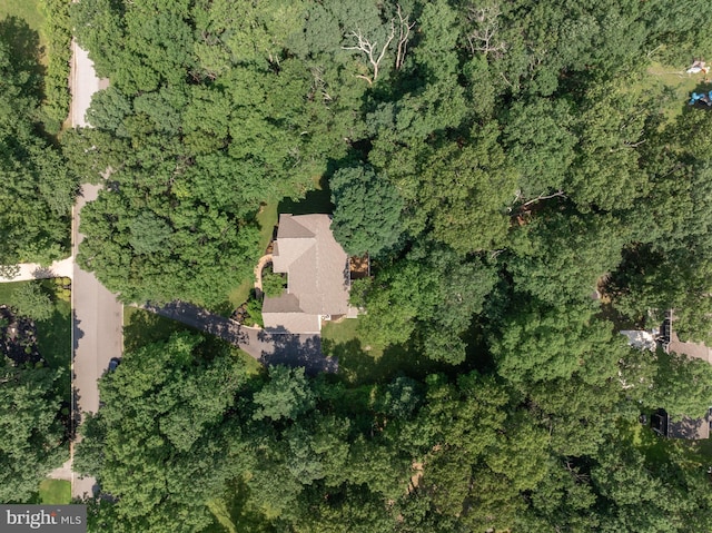 6 Shadybrook Rd, Mullica Hill, NJ 08062 - view of property location featuring a forest