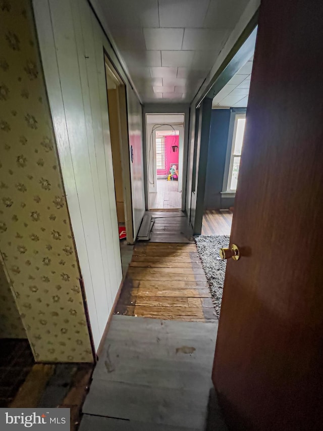 430 Bayard St, Kane, PA 16735 - hall with hardwood / wood-style flooring and wallpapered walls
