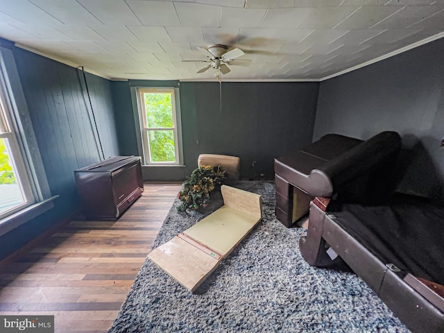 430 Bayard St, Kane, PA 16735 - living room featuring ceiling fan, wood finished floors, and crown molding