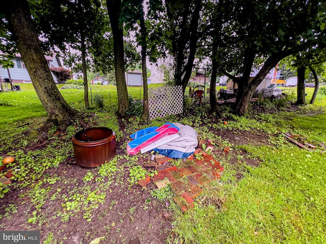 430 Bayard St, Kane, PA 16735 - view of yard