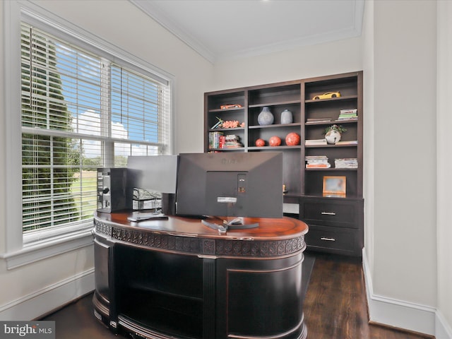 11509 Asbury Ridge Ct, Nokesville, VA 20181 - office with ornamental molding and dark wood-style floors