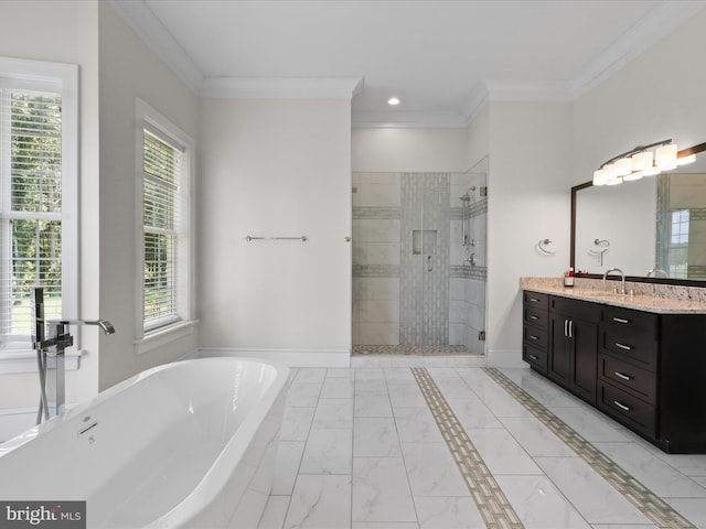 11509 Asbury Ridge Ct, Nokesville, VA 20181 - full bath with a freestanding bath, vanity, a shower stall, ornamental molding, and plenty of natural light