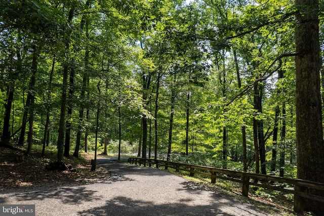 379 Wintergreen Way, Berkeley Springs, WV 25411 - surrounding community with a forest view