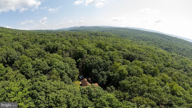 379 Wintergreen Way, Berkeley Springs, WV 25411 - aerial view of mountains