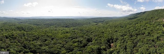 379 Wintergreen Way, Berkeley Springs, WV 25411 - view of mountain background with a heavily wooded area