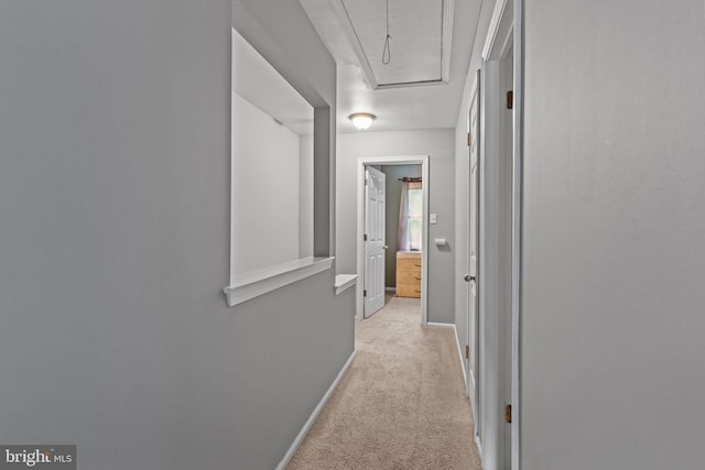 701 Hunters Run, Perkasie, PA 18944 - hallway with light carpet and baseboards
