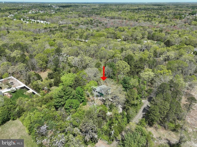 99 Old Main Shore Rd, Barnegat, NJ 08005 - aerial view of property's location featuring a forest