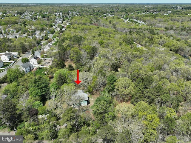 99 Old Main Shore Rd, Barnegat, NJ 08005 - aerial view of property's location with a forest