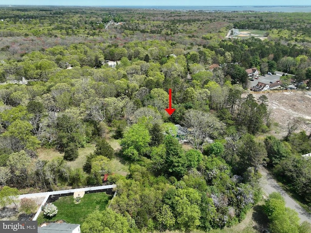 99 Old Main Shore Rd, Barnegat, NJ 08005 - view of property location with a heavily wooded area