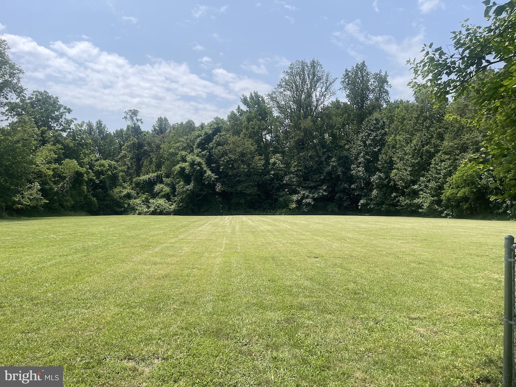 23 Dingley Rd, Montross, VA 22520 - view of green lawn