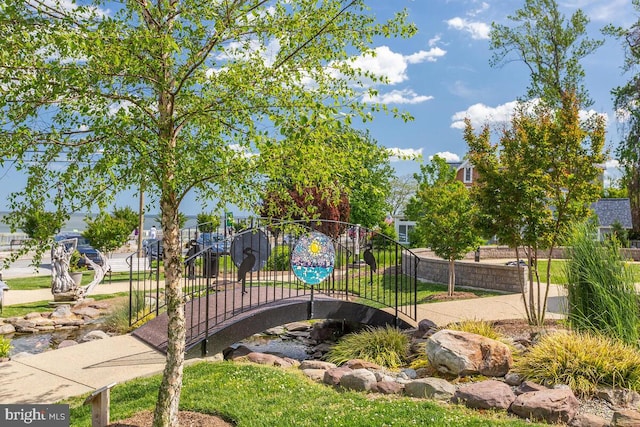 3816 Chesapeake Beach Rd, Chesapeake Beach, MD 20732 - view of home's community