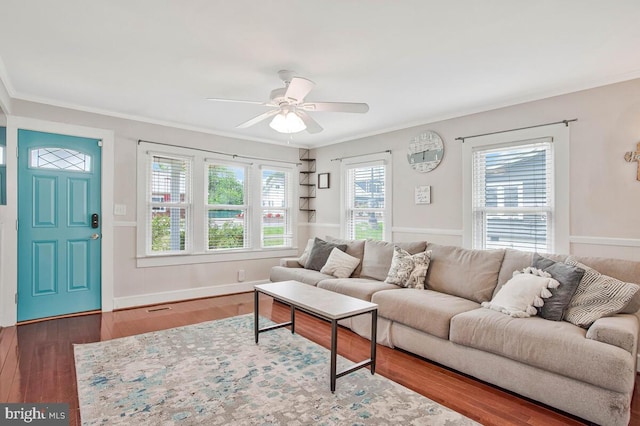 3816 Chesapeake Beach Rd, Chesapeake Beach, MD 20732 - living room with a ceiling fan, crown molding, and wood finished floors