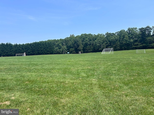11606 Little Bay Harbor Way, Spotsylvania, VA 22551 - view of yard featuring an area for sports and a wooded view