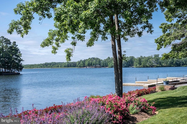 11606 Little Bay Harbor Way, Spotsylvania, VA 22551 - water view with a dock