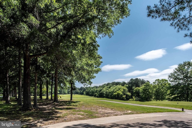 11606 Little Bay Harbor Way, Spotsylvania, VA 22551 - view of home's community with a yard