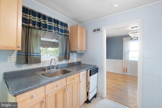 17 Alvil Rd, Wilmington, DE 19805 - kitchen with white dishwasher, light brown cabinets, dark countertops, crown molding, and plenty of natural light