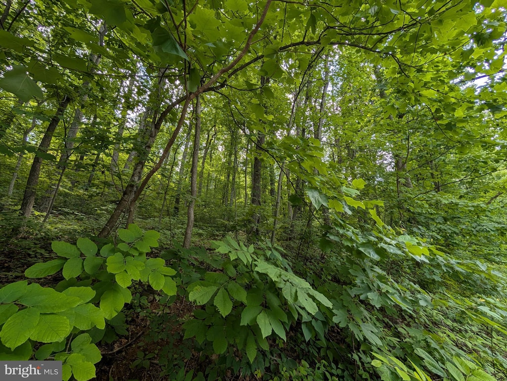 LOT106 Bluebird Way, Front Royal, VA 22630