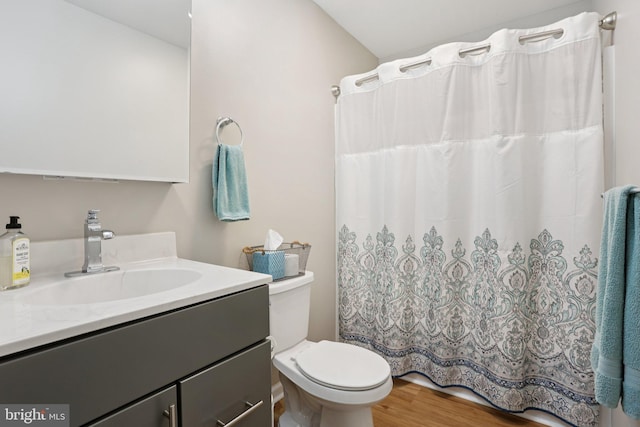 1442 Peacock Ln, Hellertown, PA 18055 - bathroom featuring vanity, wood finished floors, and a shower with curtain