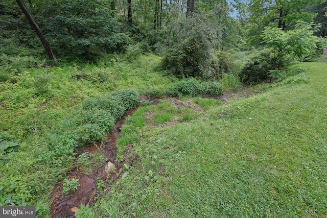 1442 Peacock Ln, Hellertown, PA 18055 - view of wooded area