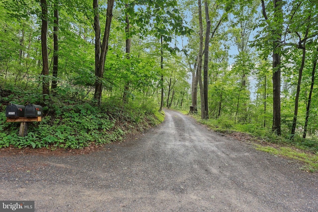 1442 Peacock Ln, Hellertown, PA 18055 - view of road