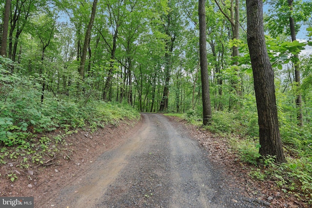 1442 Peacock Ln, Hellertown, PA 18055 - view of road featuring a wooded view