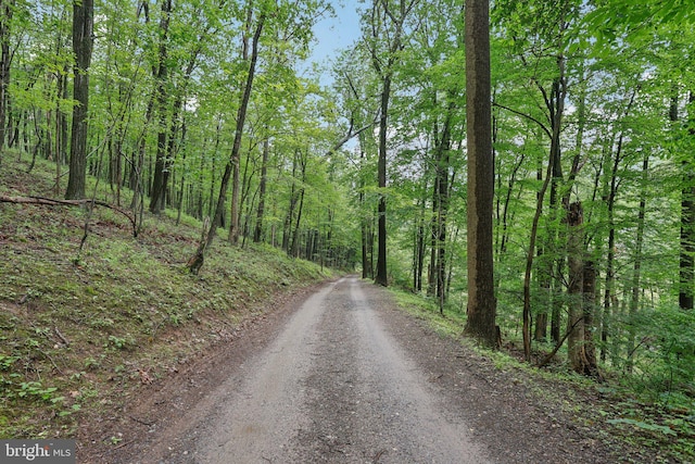 1442 Peacock Ln, Hellertown, PA 18055 - view of road featuring a wooded view