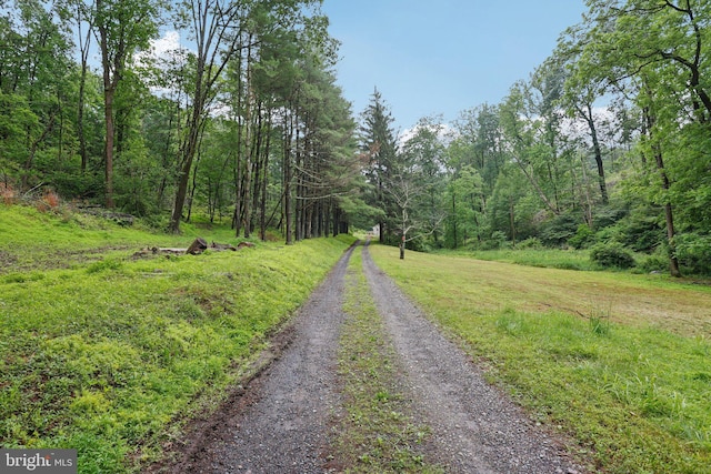 1442 Peacock Ln, Hellertown, PA 18055 - view of road with a view of trees