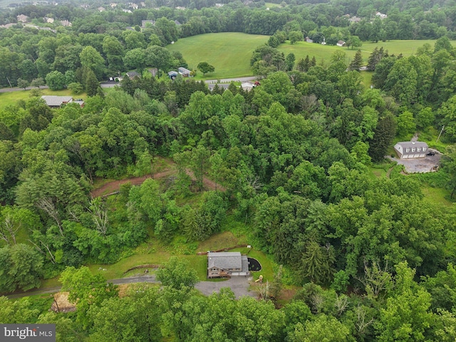 1442 Peacock Ln, Hellertown, PA 18055 - aerial view of property and surrounding area