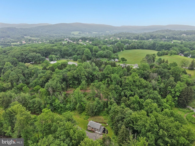 1442 Peacock Ln, Hellertown, PA 18055 - bird's eye view of a mountainous background and a forest