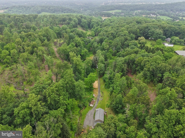 1442 Peacock Ln, Hellertown, PA 18055 - view of property location featuring a forest