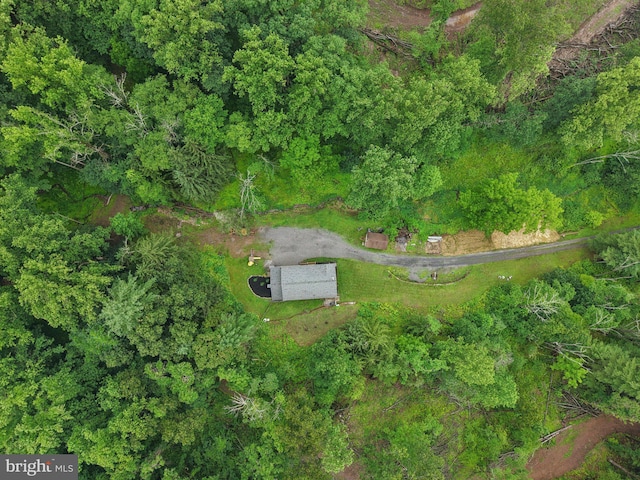 1442 Peacock Ln, Hellertown, PA 18055 - aerial view of property and surrounding area