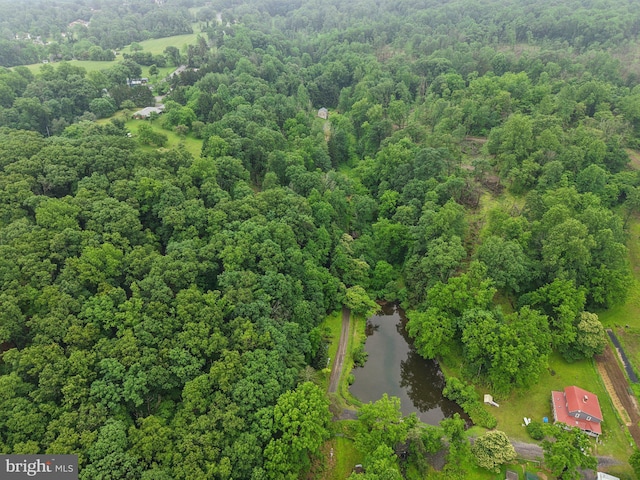1442 Peacock Ln, Hellertown, PA 18055 - aerial overview of property's location featuring a forest and a nearby body of water