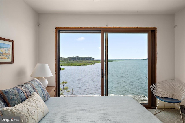 35197 Hassell Ave, Bethany Beach, DE 19930 - bedroom with a water view and access to outside