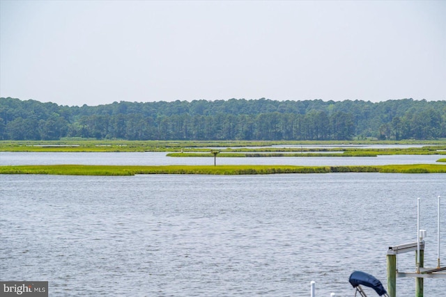 35197 Hassell Ave, Bethany Beach, DE 19930 - water view with a heavily wooded area