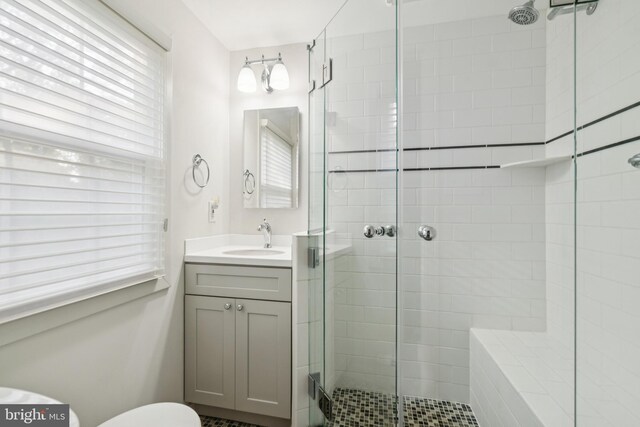 1243 Grove Rd, West Chester, PA 19380 - bathroom with a shower stall, vanity, and plenty of natural light