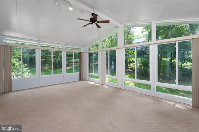 92 Lochatong Rd, Ewing, NJ 08628 - unfurnished sunroom featuring carpet floors, healthy amount of natural light, and french doors
