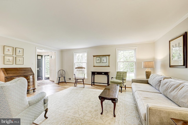 1109 Pipestem Pl, Potomac, MD 20854 - living room with crown molding and light wood-style flooring