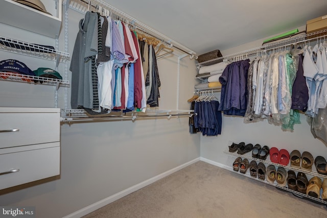 561 Nottingham Dr, Yardley, PA 19067 - spacious closet with carpet flooring
