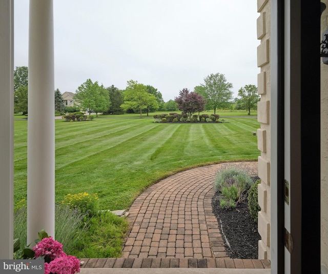 21 Shara Ln, Pennington, NJ 08534 - view of green lawn
