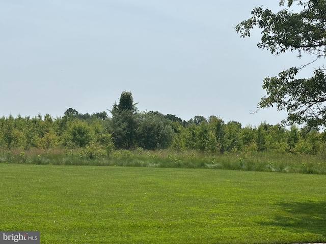 21 Shara Ln, Pennington, NJ 08534 - view of grassy yard