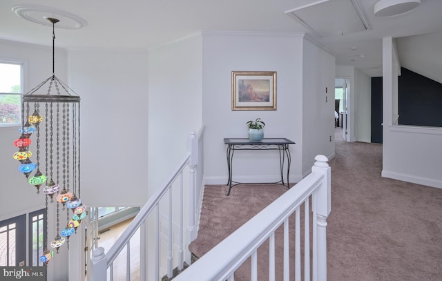 21 Shara Ln, Pennington, NJ 08534 - corridor with an upstairs landing, carpet flooring, attic access, and plenty of natural light
