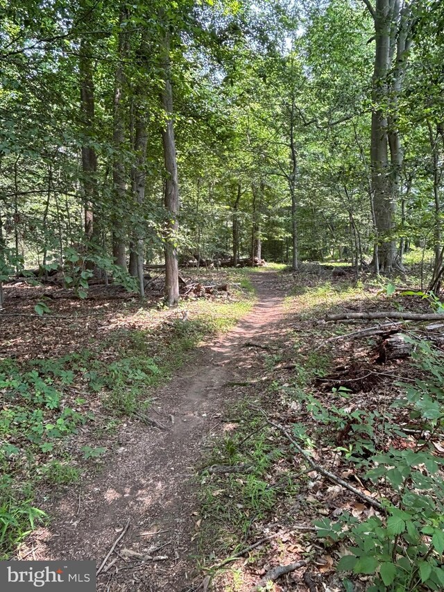 21 Shara Ln, Pennington, NJ 08534 - view of wooded area