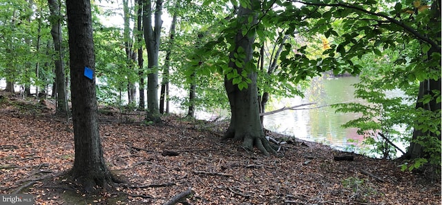 21 Shara Ln, Pennington, NJ 08534 - view of local wilderness with a large body of water