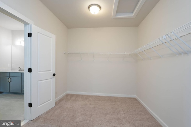 20769 Partlows Store Sq, Ashburn, VA 20147 - spacious closet featuring a sink and light carpet