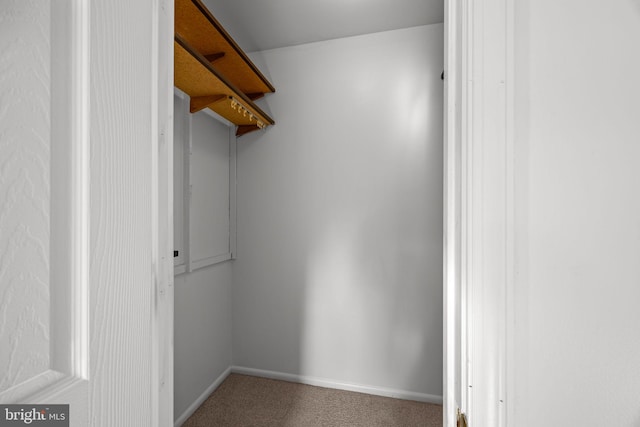 951 Robin Ln, Huntingdon Valley, PA 19006 - walk in closet with carpet