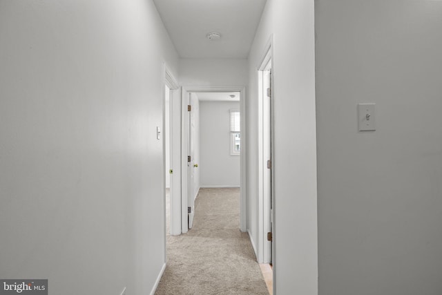 951 Robin Ln, Huntingdon Valley, PA 19006 - hallway with light carpet and baseboards