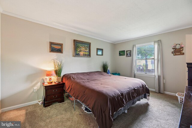 41 Sycamore Ln, Hanover, PA 17331 - bedroom featuring carpet and ornamental molding