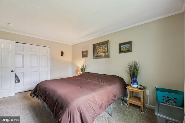 41 Sycamore Ln, Hanover, PA 17331 - bedroom with carpet floors, crown molding, and a closet