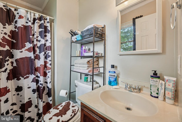 41 Sycamore Ln, Hanover, PA 17331 - bathroom with ornamental molding, vanity, and curtained shower