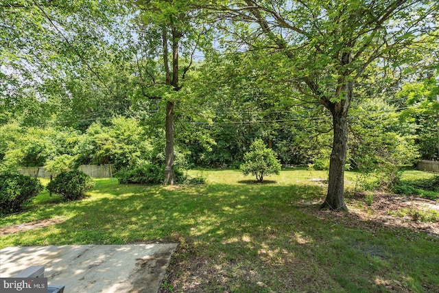 1427 Perrywood Dr, Aberdeen, MD 21001 - view of yard